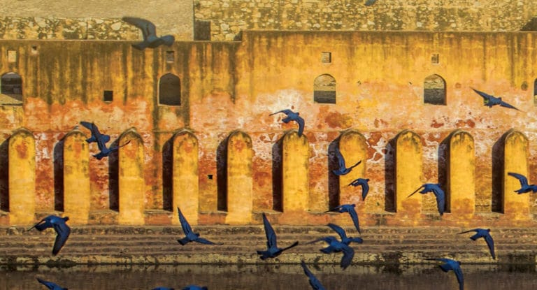 “Zindaginama” by Krishna Sobti