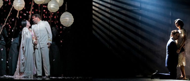 Butterflies in New York