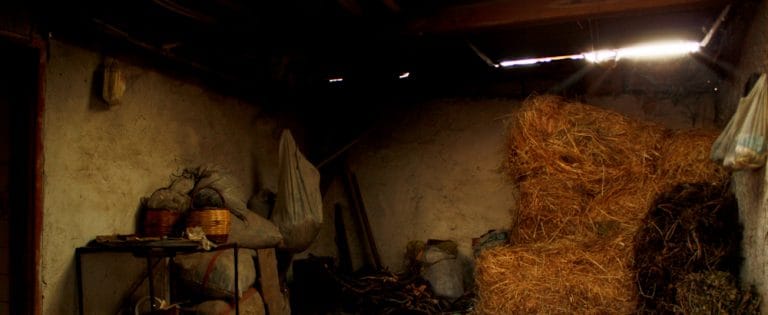 “Shadowless” by Hasan Ali Toptaş