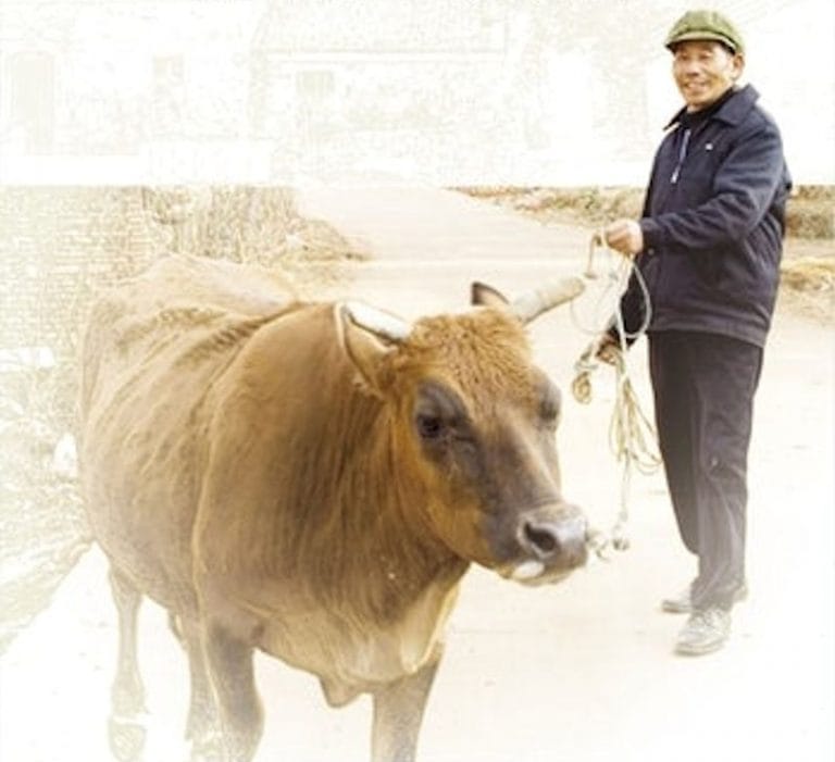 “Gao Village Revisited: The Life of Rural People in Contemporary China”  by Mobo CF Gao
