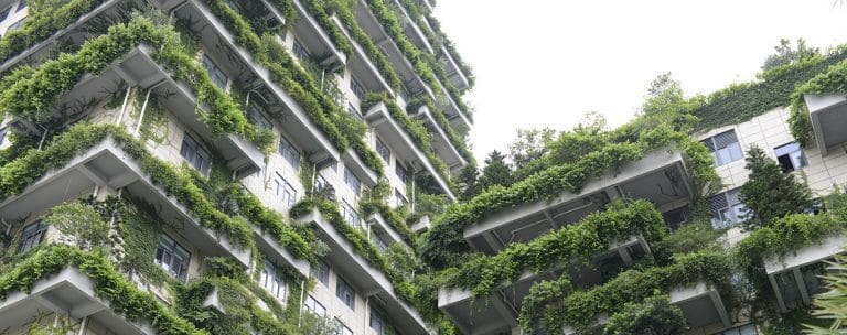 “Will China Save the Planet?” by Barbara Finamore