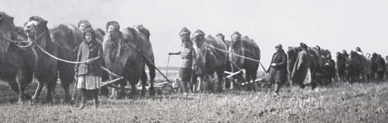 “The Hungry Steppe: Famine, Violence, and the Making of Soviet Kazakhstan” by Sarah Cameron