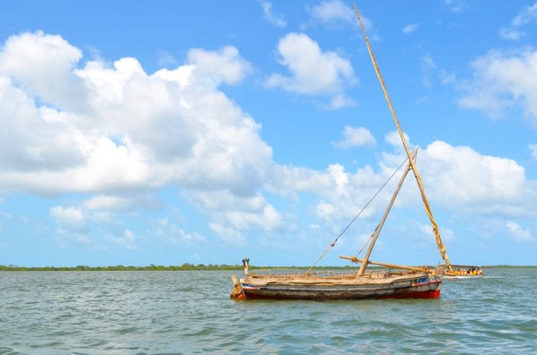 “The Dragonfly Sea” by Yvonne Adhiambo Owuor