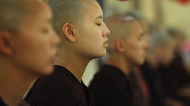 “The First Free Women: Poems of the Early Buddhist Nuns” by Matty Weingast