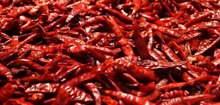 “The Chile Pepper in China: A Cultural Biography” by Brian Dott