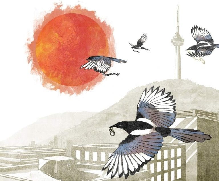 “A City of Han: Stories by expat writers in South Korea”, edited by Sollee Bae