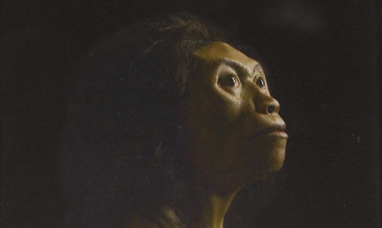 “Lost in Evolution: Exploring Humanity’s Path in Asia” by Hiroto Kawabata