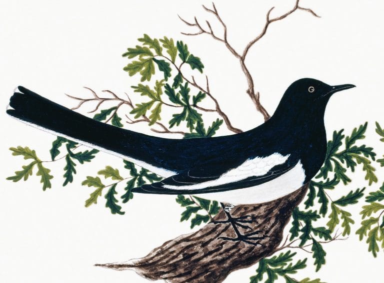 “One Left” by Kim Soom