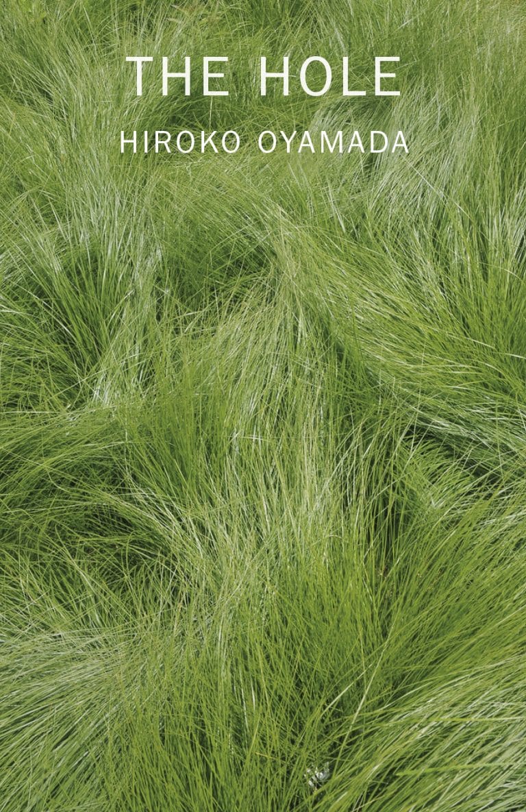 “The Hole” by Hiroko Oyamada