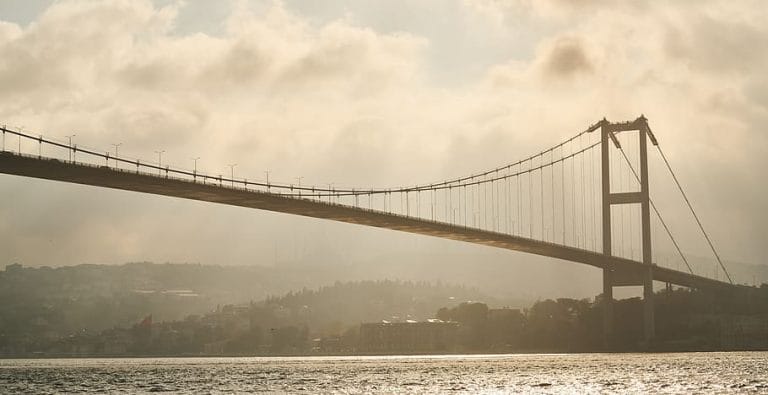 “Türkiye Diary (The Bridge): Forty Years Of Intimate Association With A Wayward US Eurasian Ally” by Thomas Goltz