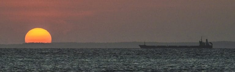 “The New Map: Energy, Climate, and the Clash of Nations” by Daniel Yergin