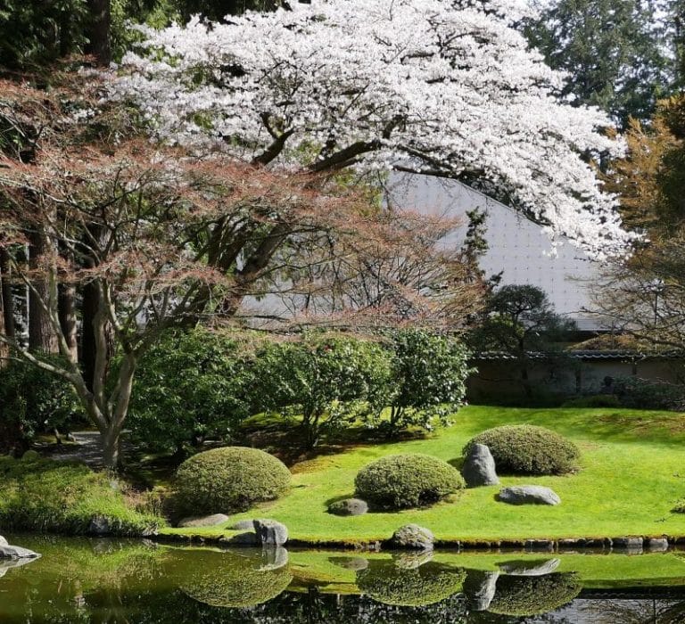 “Mrs Murakami’s Garden” by Mario Bellatin