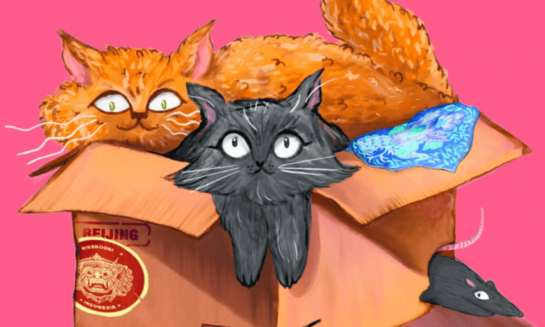 “Jakarta Tails : The Continuing Adventures of Soyabean and Tofu” by Pallavi Aiyar