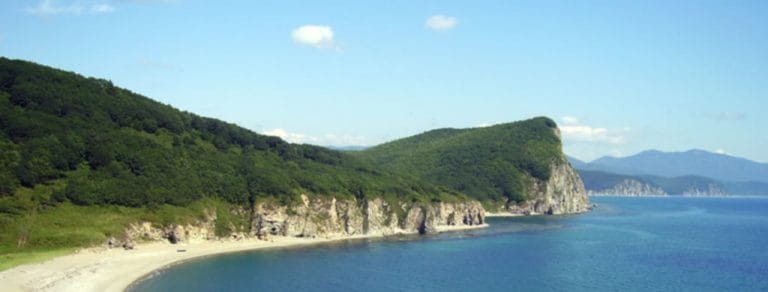 “Person of Korea”, story by Paul Yoon