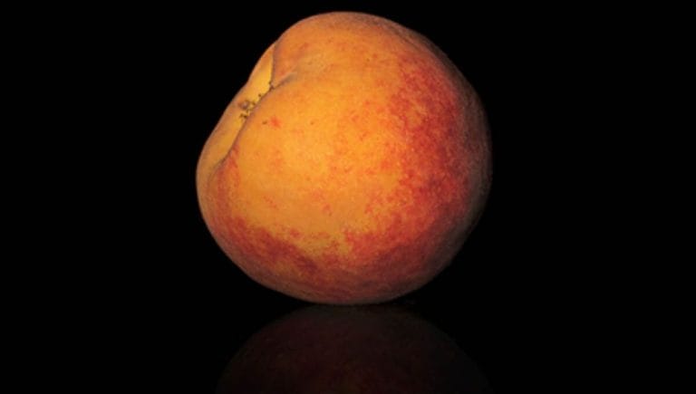 “The Membranes” by Chi Ta-wei