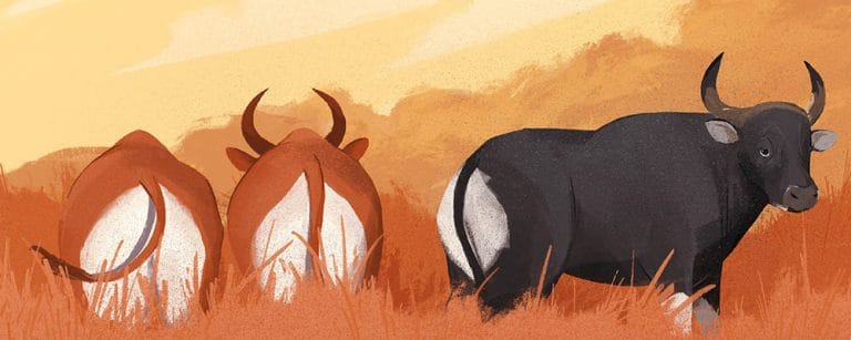 “Marvellous Mammals: A Wild A to Z of Southeast Asia” by Debby Ng