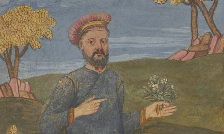 “A Venetian at the Mughal Court: The Life and Adventures of Nicolò Manucci” by Marco Moneta