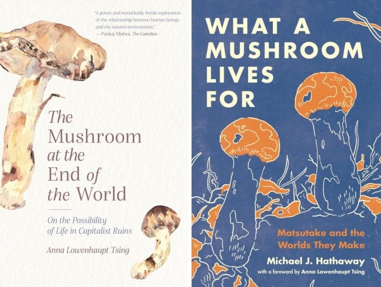“The Mushroom At The End Of The World” & “What A Mushroom Lives For”