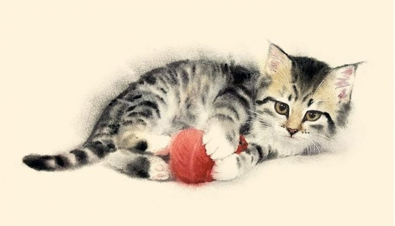 “Mornings with My Cat Mii” by Mayumi Inaba