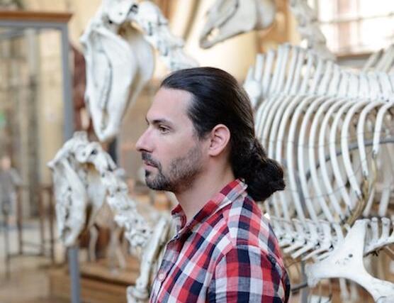 Podcast with Ludovic Orlando, author of “Horses: A 4,000-Year Genetic Journey Across the World”