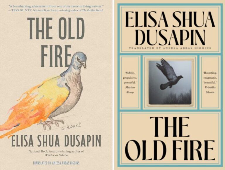 “The Old Fire” by Elisa Shua Dusapin