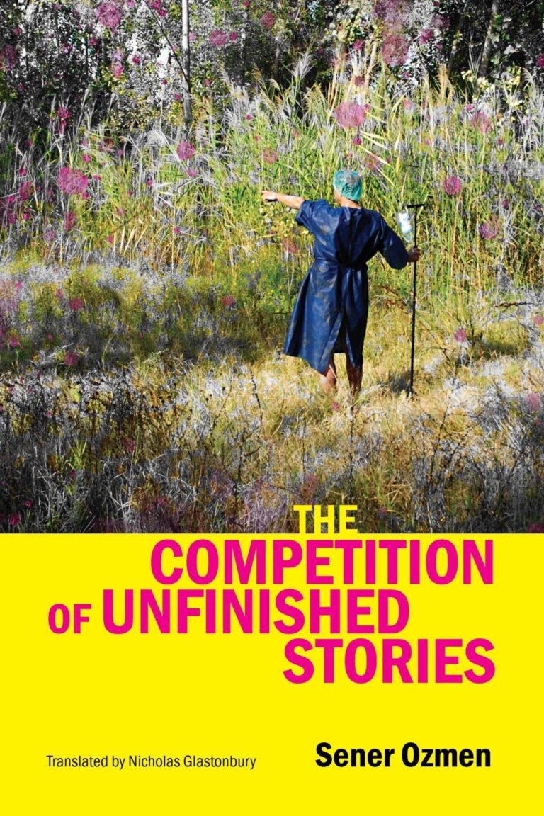 Book cover of The Competition of Unfinished Stories