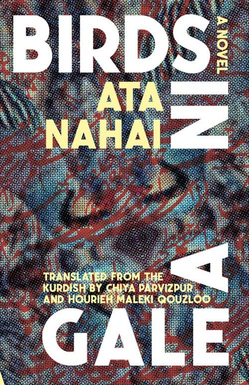 Birds in a Gale by Ata Nahai cover.