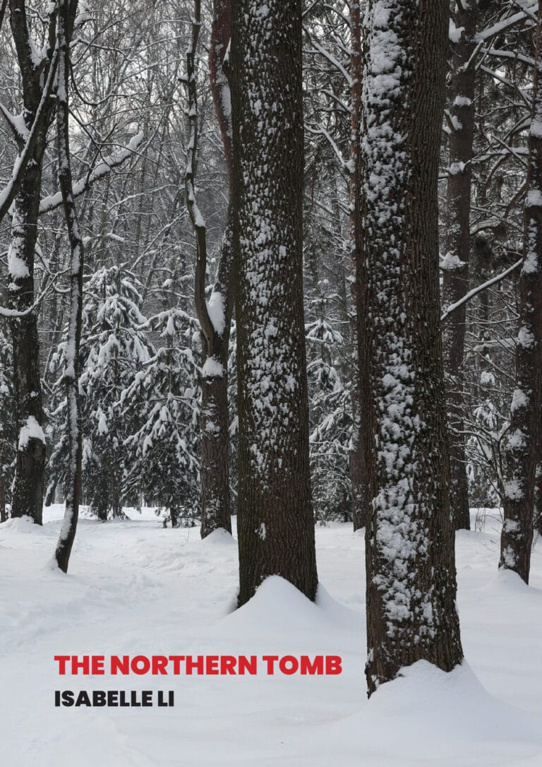 The cover of "Northern Tomb" by Isabelle Li