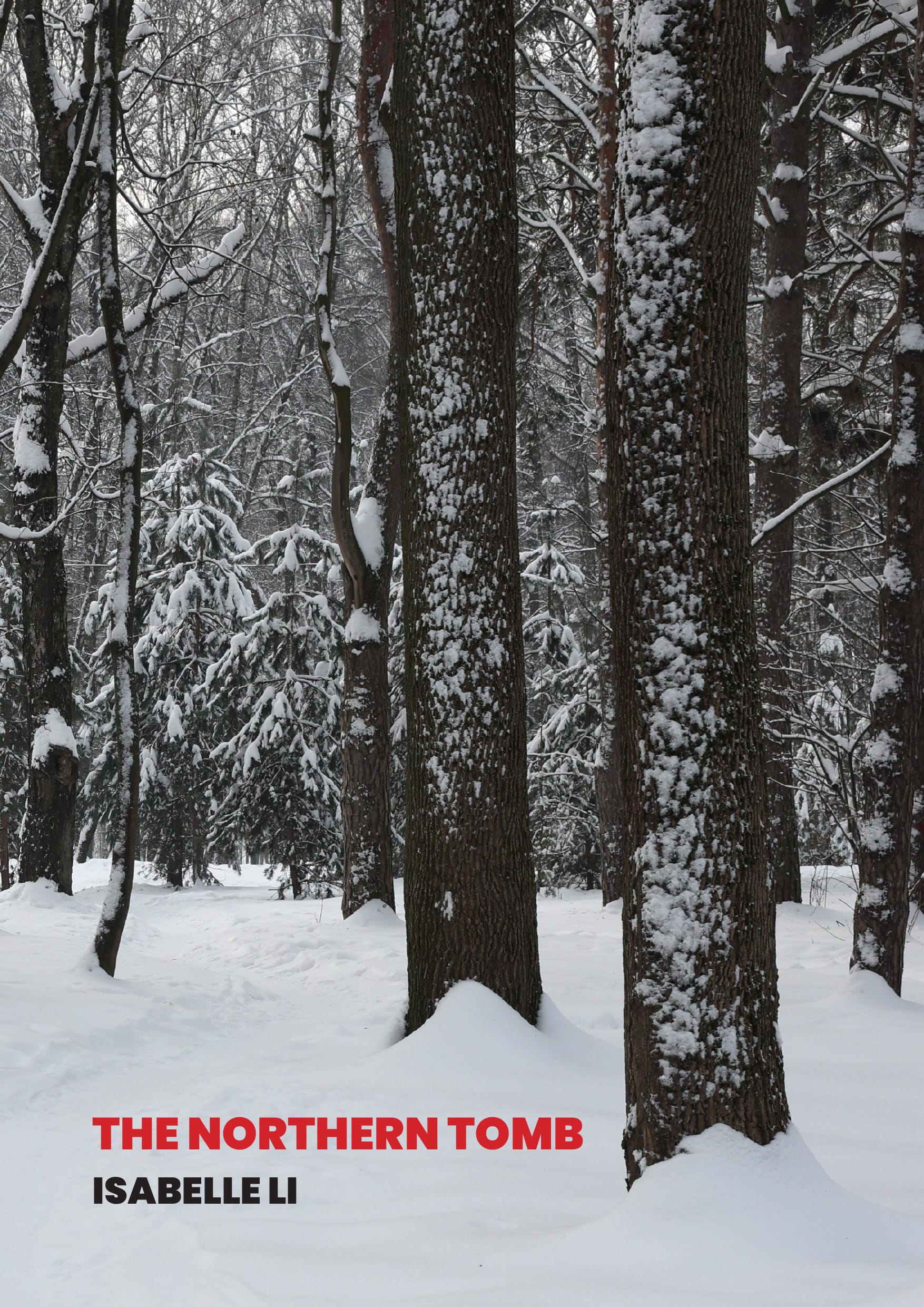 The cover of "Northern Tomb" by Isabelle Li